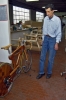 bici_legno015