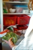 frigo_verdure7