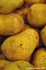 patata_gialla02