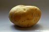 patata_gialla03