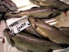 pesce5_990102