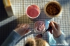 yogurt002b