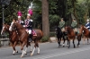 cascine45