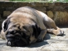 ettore_rimaggio05