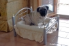 letto_ettore3