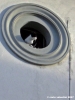 gatto_finestra03