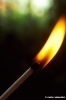 fiammifero1134_15