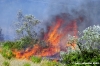 incendio08