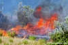 incendio11