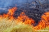 incendio21