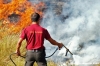 incendio33