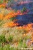 incendio35