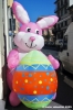 leprotto_pasquale1