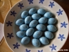 ovetti_pasquali3