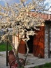 rimaggio02_060325