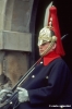 londra243_13