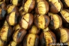 castagne1