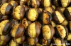 castagne2