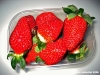 fragole1