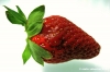 fragole2
