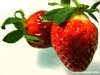 fragole5