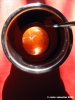 kaki02_061129
