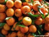 mandarini_clementini