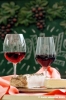 vino_novello01