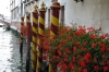 venezia099_040906
