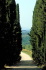 IMG0007_0186