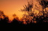 IMG0009_0186