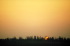 IMG0015_0186