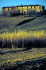 IMG0016_1712