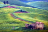 IMG0017_1712