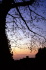 IMG0022_0186