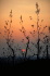 IMG0023_0186