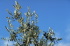 IMG0030_0186