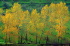 autunno202_08