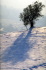 IMG0044_0186