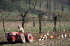 IMG0051_0186
