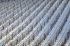 IMG0096_0186