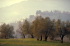 IMG0099_0186