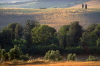 PCD0647_004