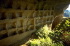 PCD0647_022