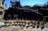 PCD0647_043