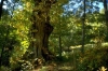 PCD0647_058