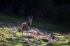 PCD0647_068