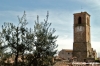 anghiari02