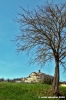 anghiari20