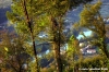arno_gualchiere1